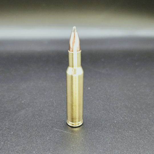 .222 Remington Bullet Keyring made from real inert varmint ammo – Cool Gaming Stuff UK
