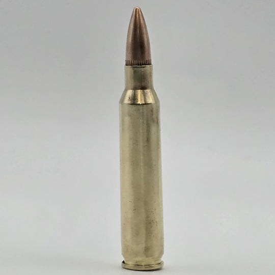 5.56x45mm Bullet Keyring & Inert Ammo - Cool Gaming Stuff