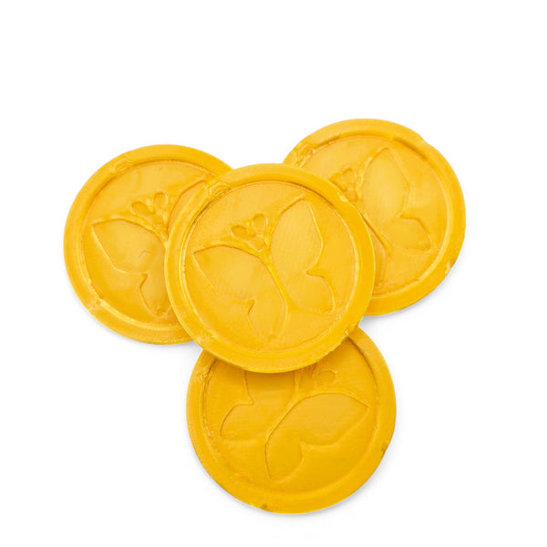 Palia Bug Catching Medal – Keyring & Coin - Cool Gaming Stuff