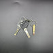 FN 5.7x28mm Bullet Keyring made from real inert P90 / Five-seveN ammo – Cool Gaming Stuff UK
