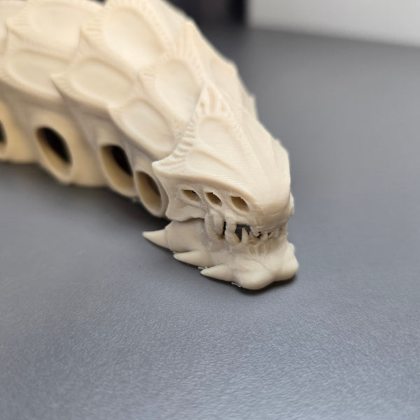 Articulated Segment Detail of Ancient Skeleton Model