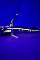 Side view of articulated Marrowbreach creature figure glowing under UV light, showing dark blue body, pale glow markings, fins and segmented tail.