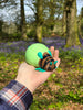 Hand scale of lantern bug in hand