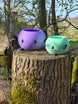 picture of junimos outside 