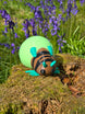 Photo of lantern bug in woods