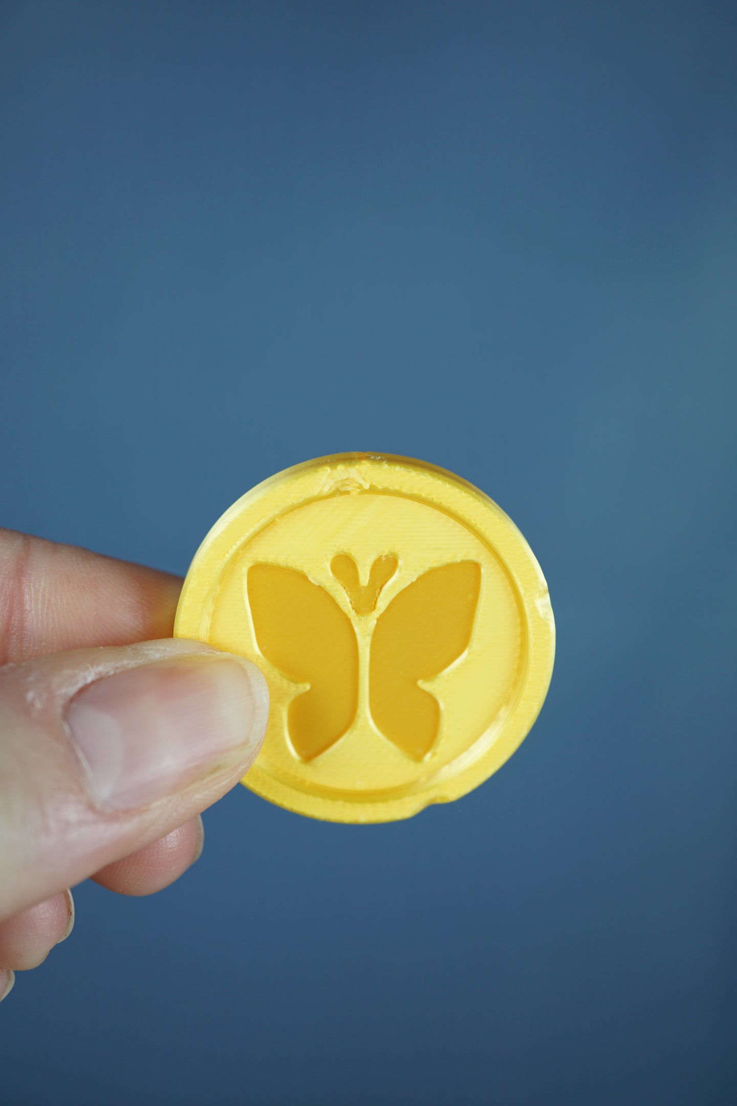 Palia inspired Bug Catching Skill Medal 3D printed collectible coin and keychain