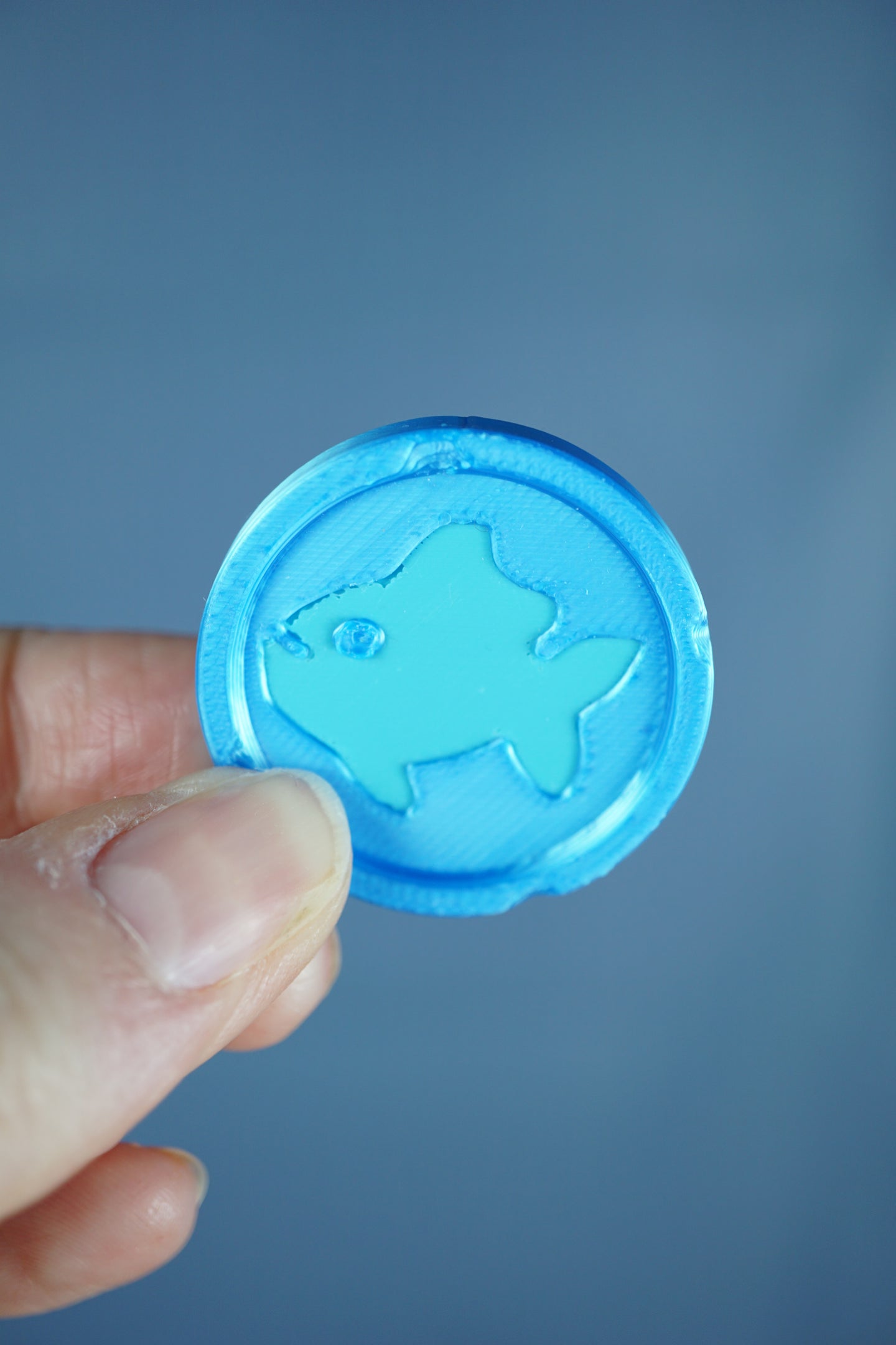 Palia inspired Fishing Skill Medal 3D printed collectible coin and keychain