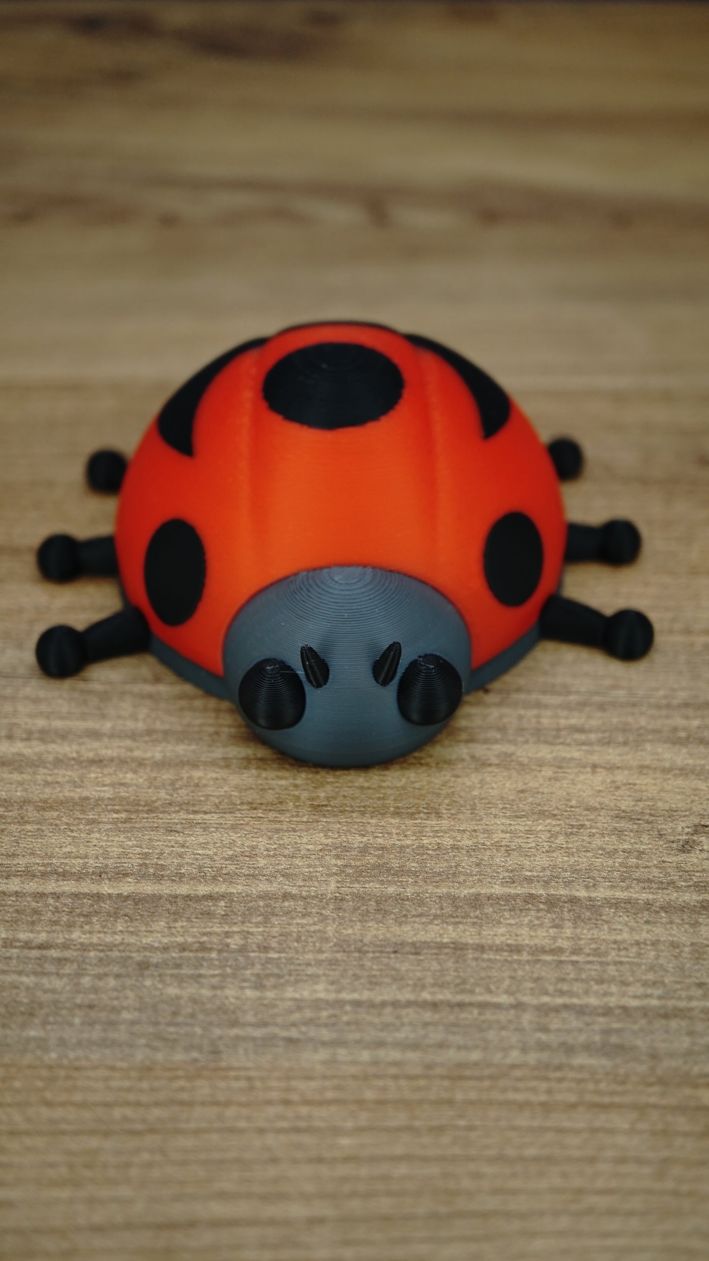 Front view of the Palia Garden Ladybug Plush collectible with bright red shell, black spots, grey face and small black legs on a wooden surface.