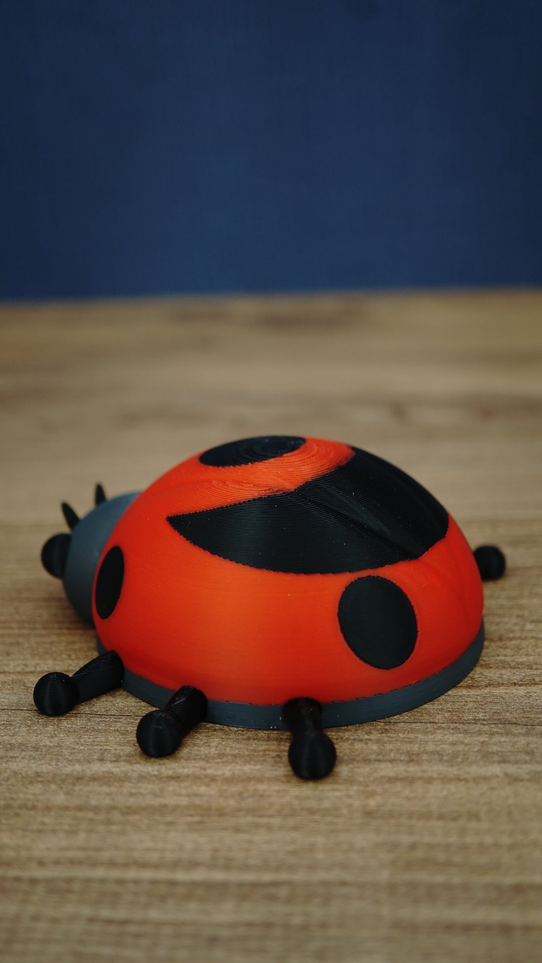 Rear side view of the Palia Garden Ladybug Plush collectible highlighting the red shell, large black wing pattern, black spots and grey lower trim.