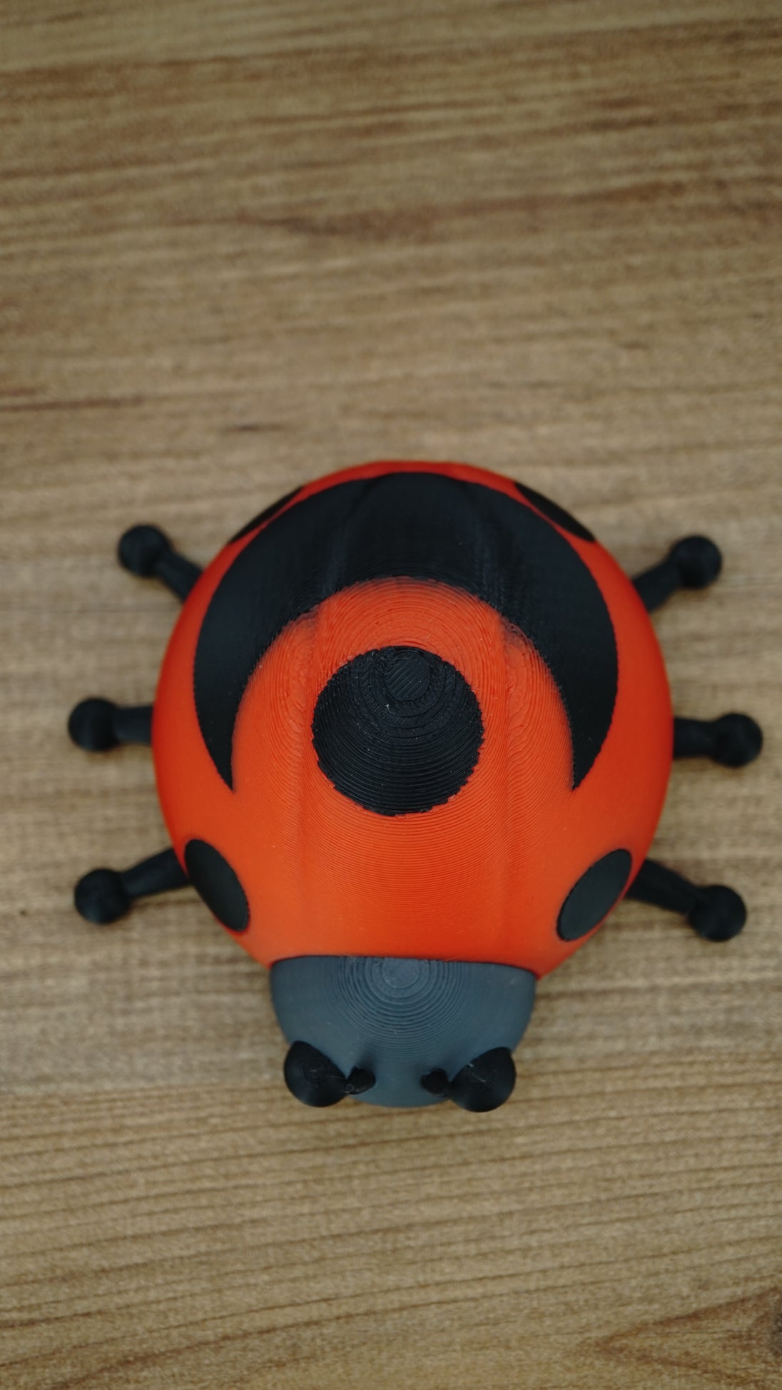 Top view of the Palia Garden Ladybug Plush collectible showing its distinctive red shell, large black wing markings, central spot and six black legs.