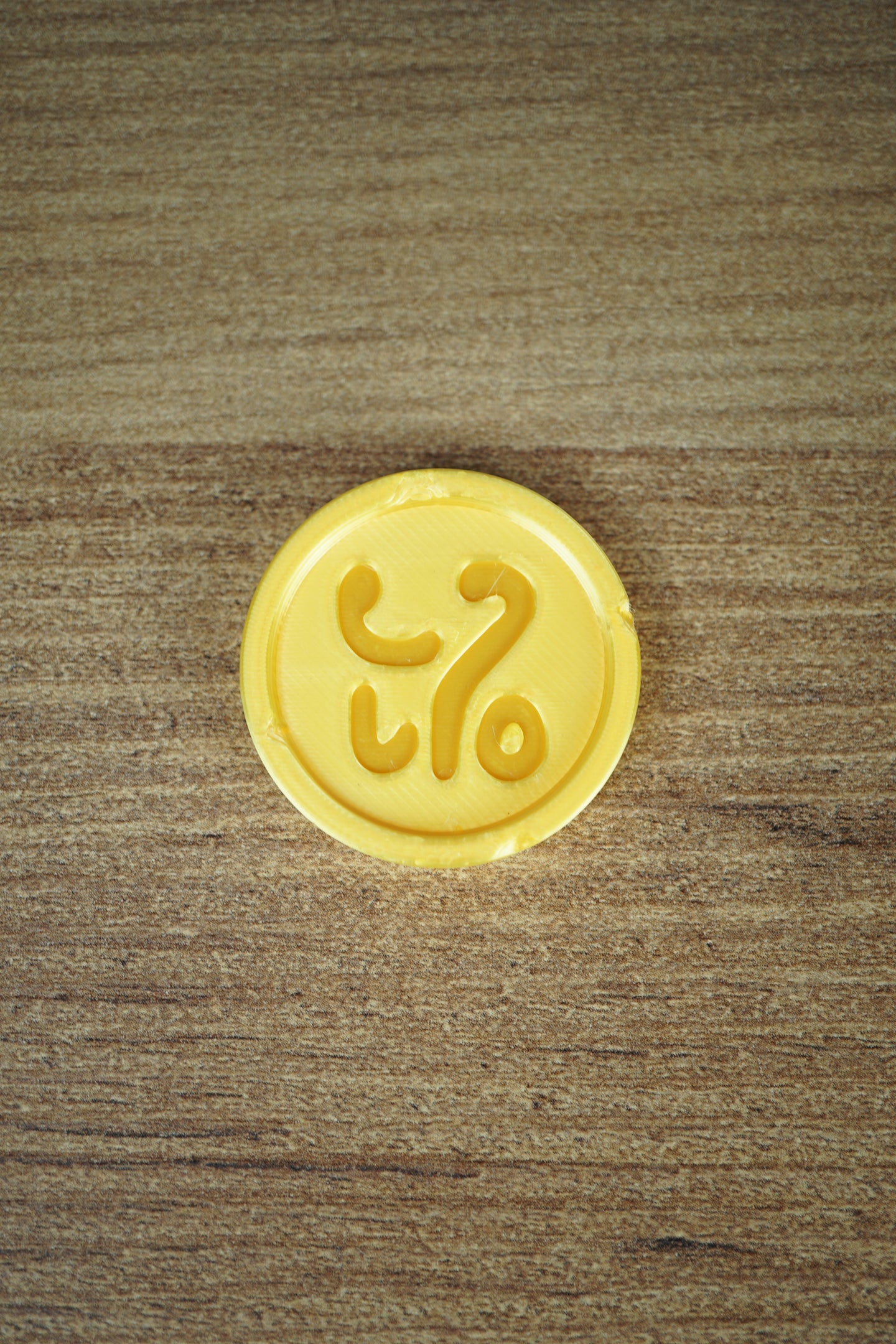 Palia game currency coin prop 3.5 cm