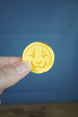 Palia inspired Prize Wheel Coin 3D printed gamer gift collectible