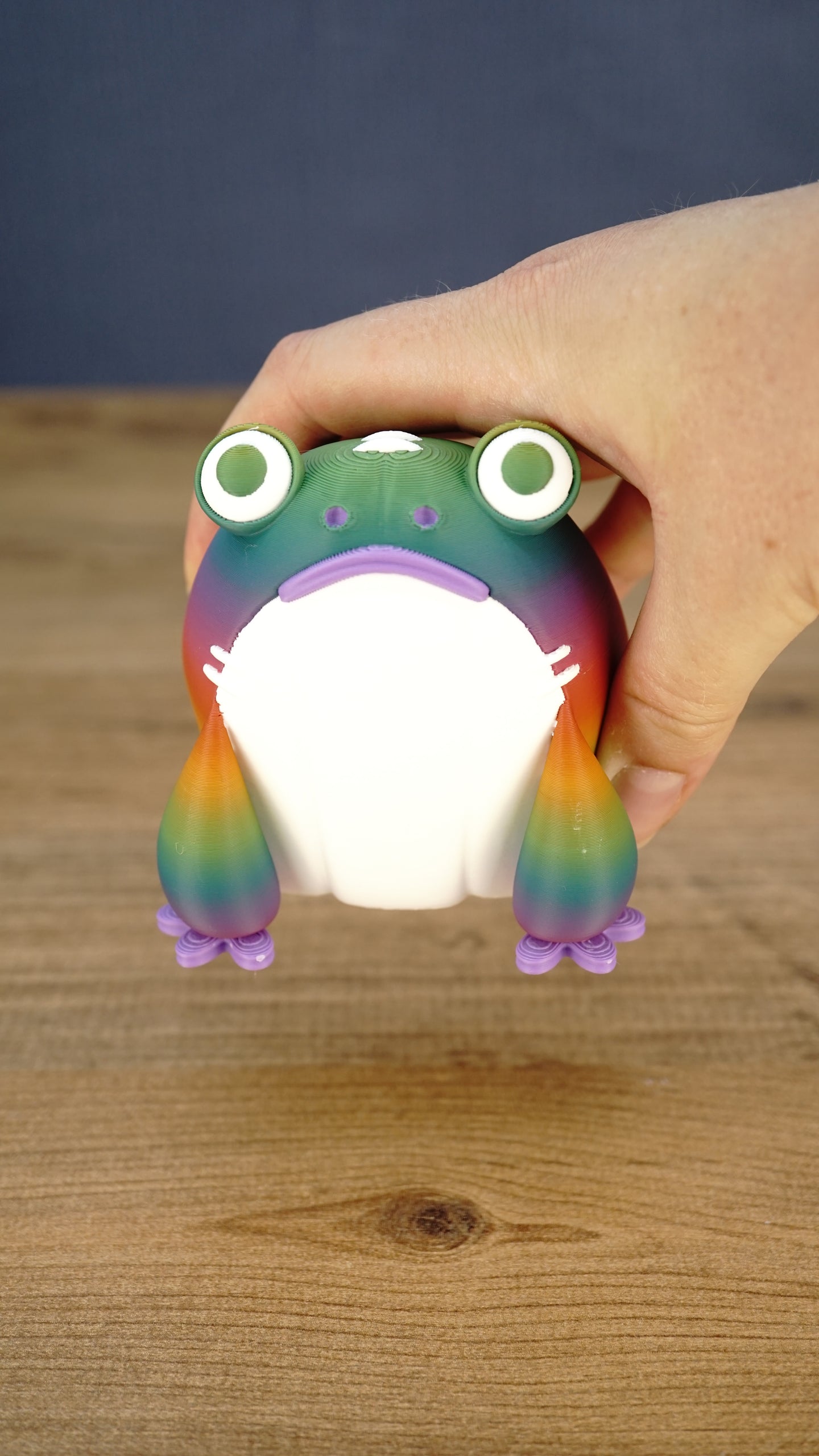 Close-up of a rainbow Frogbert plush figure being held, showing its large eyes, white belly, purple mouth, and rainbow 3D printed finish.