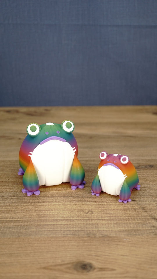 Large and small rainbow Frogbert plush figures displayed together on a wooden tabletop.