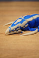 Close-up of the Shiver Leviathan head and front claws, showing bone colour jaw details, blue markings, and creature styling.