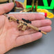 Miniature assault rifle collectible for gamers

